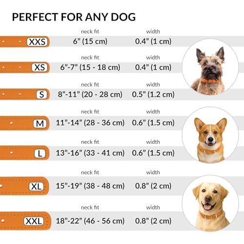 Tangle Free Rolled Leather Dog Collar (Orange / M)