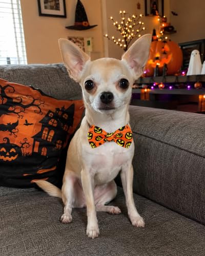 5 Pack Halloween Dog Bowties for Small Dogs Slide on Collar (S/M)