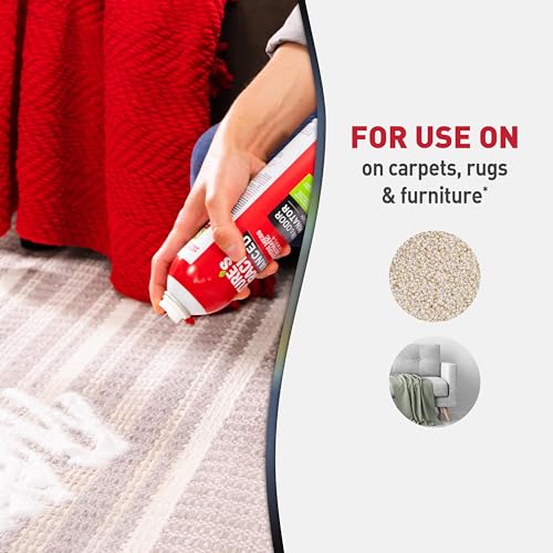 Nature’s Miracle Advanced Dog Stain & Odor Eliminator Foam (Foam / 17.5 Fl Oz (Pack of 1))