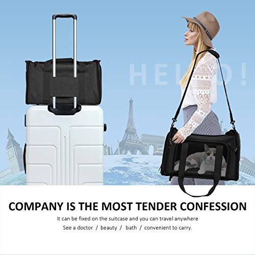 Large Soft Sided Cat and Pet Carrier for Cats and Puppies up to 25Lbs (20.0"L x 13.0"W x 13.0"H / Black)