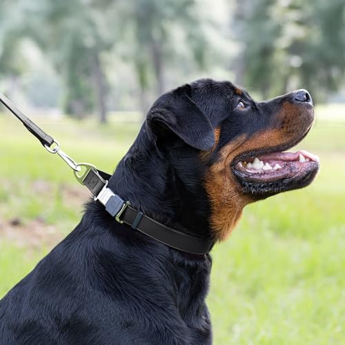 Biothane Waterproof Dog Collar with Herm Sprenger Stainless Steel Quick Release Buckle (W 1" x L 15"-25" / Black)