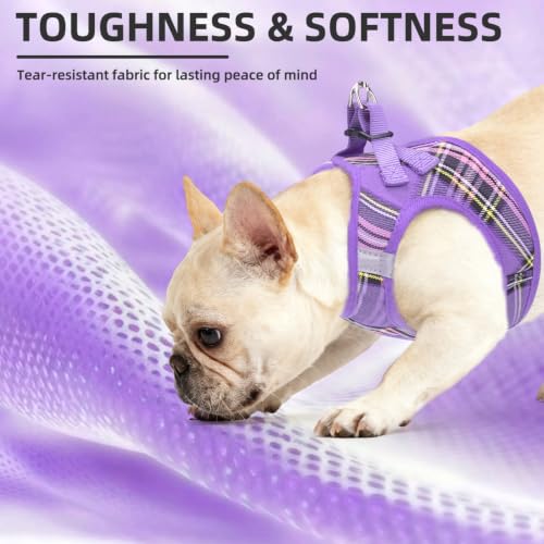 Dog Harness Collar and Leash Set No Pull for Small Medium Sized (Purple / XS (CHEST 13"-14.5"))