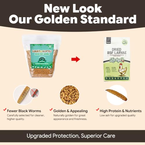 5lb Dried Black Soldier Fly Larvae for Chickens Hens High Protein Duck Food (5 Pound (Pack of 1))