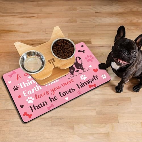Pet Feeding Mat for Floors Waterproof Dog Mat for Food and Water Absorbent Quick Dry Non Slip mat for Cat Bowls (20"L x 12"W / Pink)