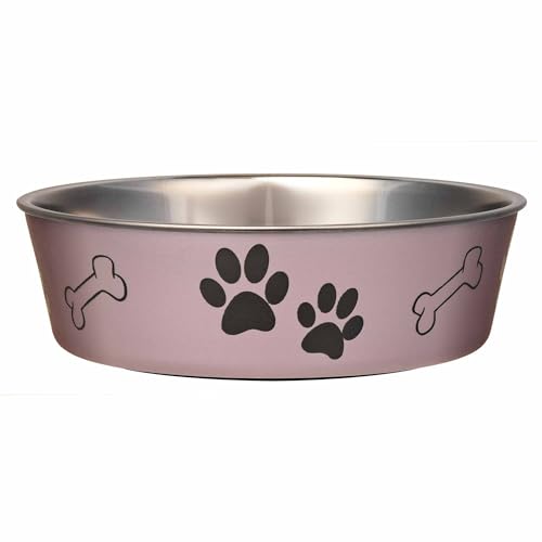 Bella Dog Bowls (Grape / Medium (20-35lbs))