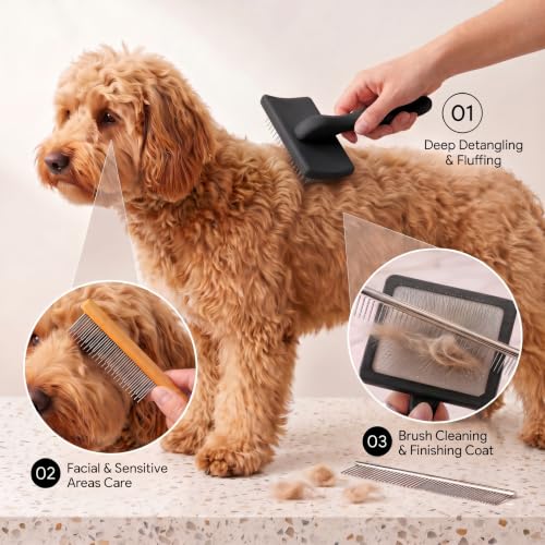 Slicker Brush for Dog (Large / Black)