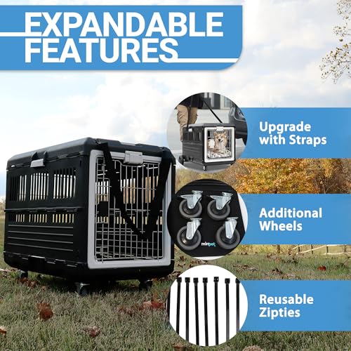 Collapsible Pet Carrier & Travel Kit (Large - Gray / with travel kit)