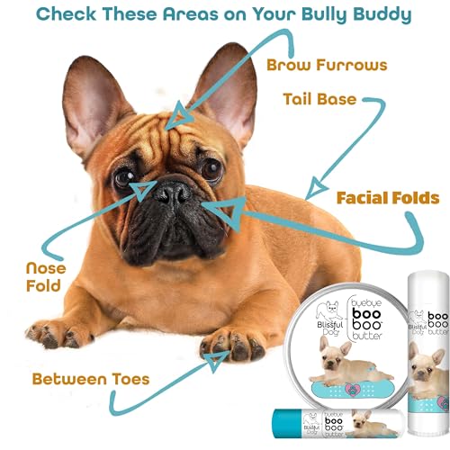 1 oz TIN French Bulldog Booboo Butter