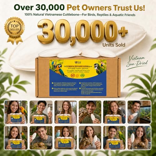 3.5 4″ Cuttlebone for Birds (12 Count (Pack of 1))