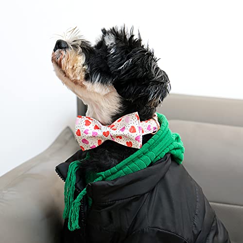 Valentines Day Dog Collar with Bowtie (Hearts / Medium (Pack of 1))
