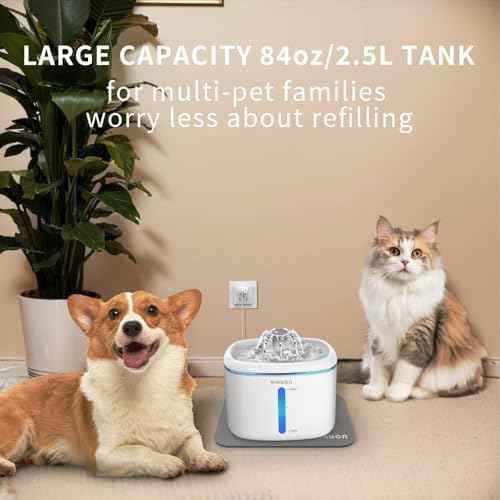 Cat Water Fountain
