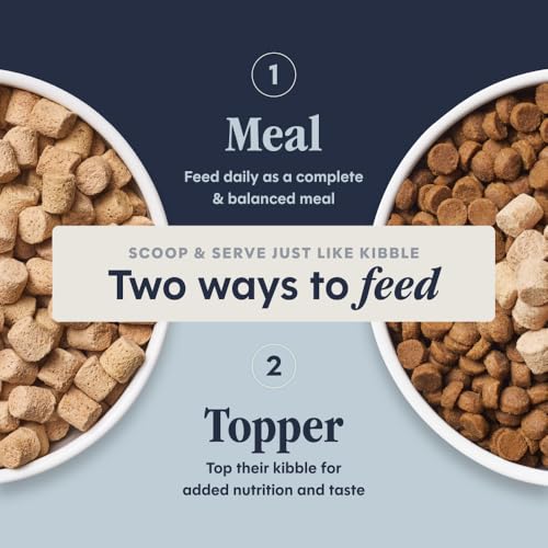 Kitten Freeze Dried Raw Meals (9.5 Ounce (Pack of 1))