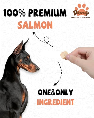 Freeze Dried Salmon Dog Treats