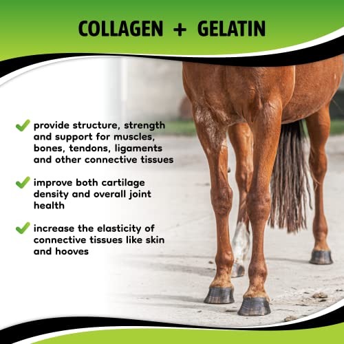 SynoStride Joint & Hoof Supplement for Horses (30 Doses)