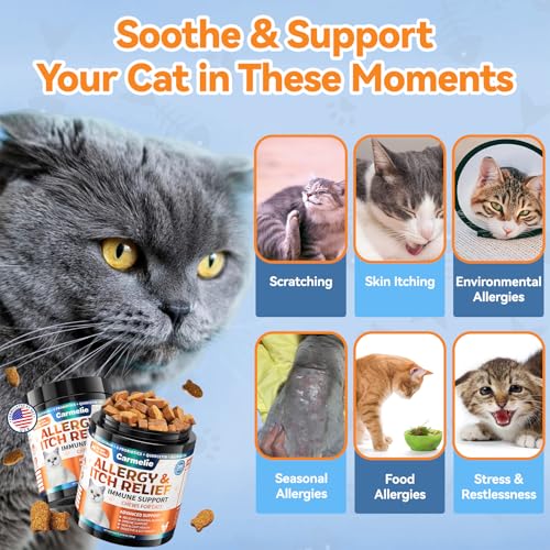 Cat Allergy Chews with Probiotic