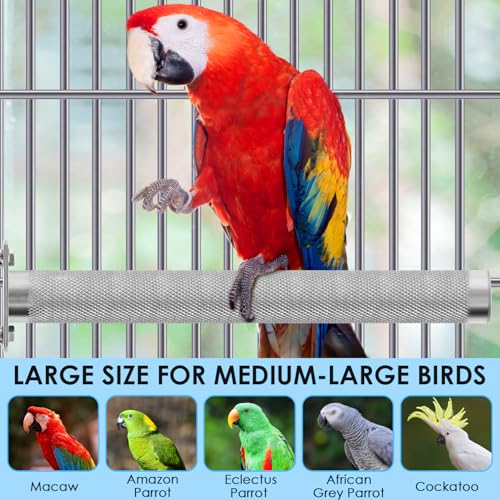 Bird Perch Stainless Steel (M: 9.8 x 1 inch)