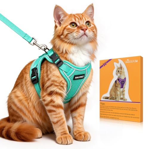 Cat Harness and Leash Set (H600 Pro Green / Medium (13-18lb))
