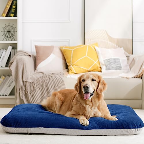 Super Soft Medium Dog Bed (32.0"L x 24.0"W x 3.0"Th / Blue)