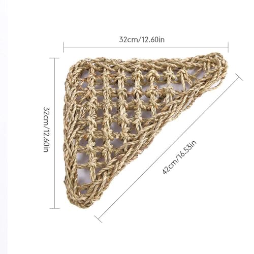 Bearded Dragon Hammock