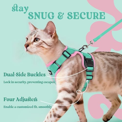 Cat Harness and Leash Set (Xxs / Green & Pink)