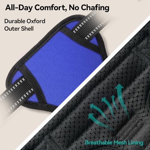 No Pull Dog Harnesses for Small Puppies Reflective Adjustable (Extra Large / Royal Blue)