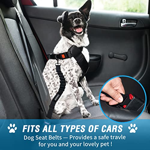 Dog Seat Belt (Set 06-Pink+Blue)