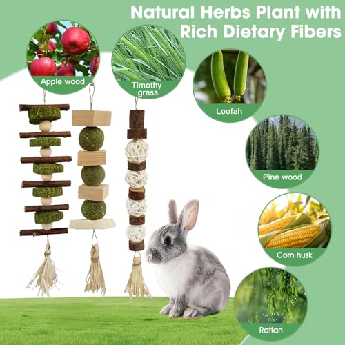 3 PCS Bunny Chew Toys