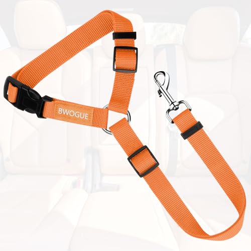 Dog Seat Belt for Car (Orange)
