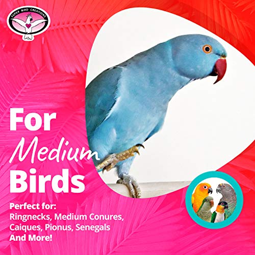 SB669 Wicker Foraging Basket Bird Toy for Parrots Cockatiels Ringnecks Medium Conures Quakers