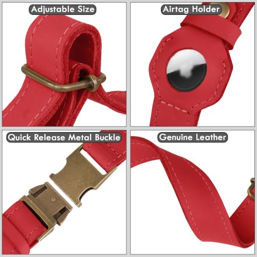 AirTag Dog Collar (Red / M, 14"-18" Neck Fit)