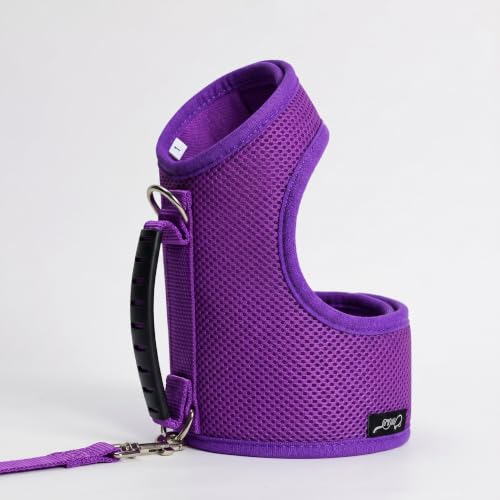 Cat Harness and Leash Set for Walking Escape Proof (Purple / Xs 2-4 lbs)