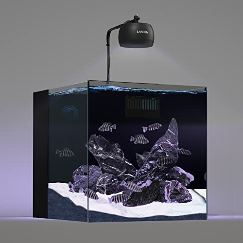 Tonwa Seiryu Stone 17lb Natural Aquarium Rocks for Fish Tank Decor (02 Tonwa Stones(2-8inch,17lbs))