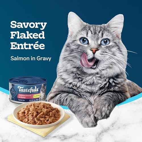 Tastefuls Salmon Wet Cat Food (3 Ounce (Pack of 24))
