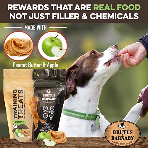 Training Treats for Dogs