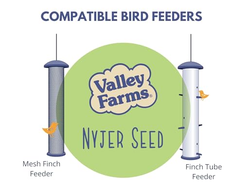 Nyjer Seed Wild Bird Food (15 Pound (Pack of 1))