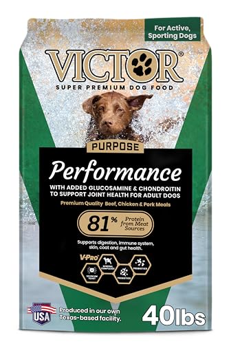 Performance Dry Dog Food (40 Pound (Pack of 1))