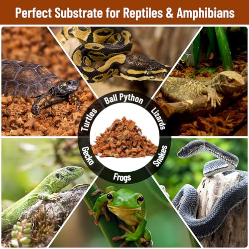 6Pack Coconut Husk Chip for Reptiles (6 Pack)
