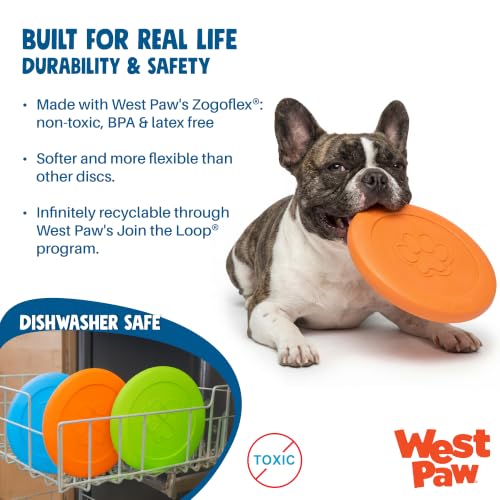 Zisc High Flying Disc Dog Toy (Large / Granny Smith)