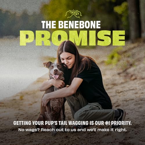 Natural Rubber Dog Bone Chew Toy (Medium)