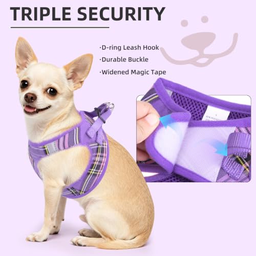 Dog Harness Collar and Leash Set No Pull for Small Medium Sized (Purple / XS (CHEST 13"-14.5"))