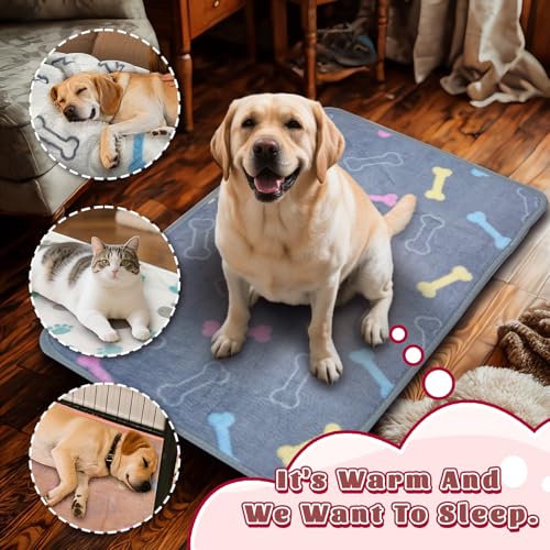 6 Pcs Washable Guinea Pig Blankets Absorbent Small Animal Fleece Bedding Cage Liners Reusable Pet Pee Pad Sleep Mat Pad Cover for Hamster Ferret Rabbit Chinchilla Hedgehog (6 White Bulk / 20" x 30")