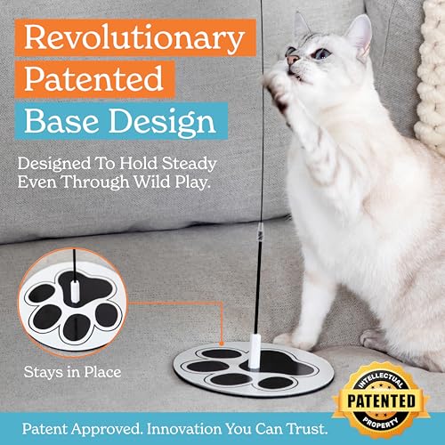 Cat Toys for Indoor Cats (Meow Motion Bundle)