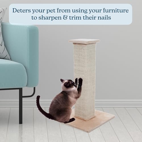 Cat Scratching Post with Carpeted Base (Beige)
