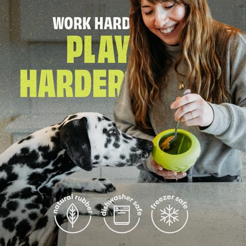 Natural Rubber Cone Interactive Treat Dispensing Dog Toy (One Size)