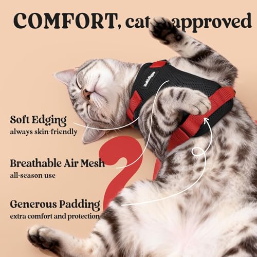 Cat Harness and Leash Set (Xs / Black & Red)