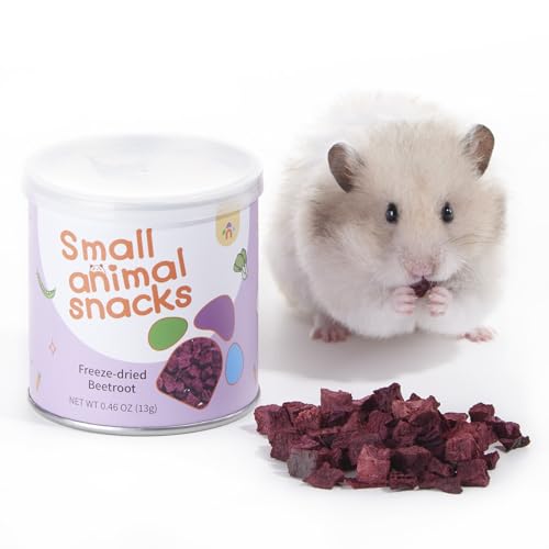Hamster Snack & Treats Toy