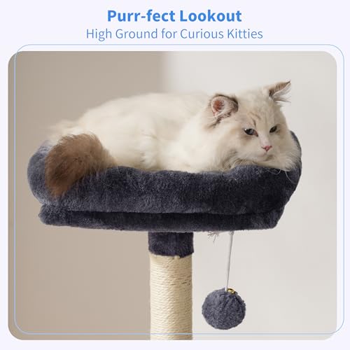 Cat Tree with Toy (Smoky Gray / 49.2 inch)