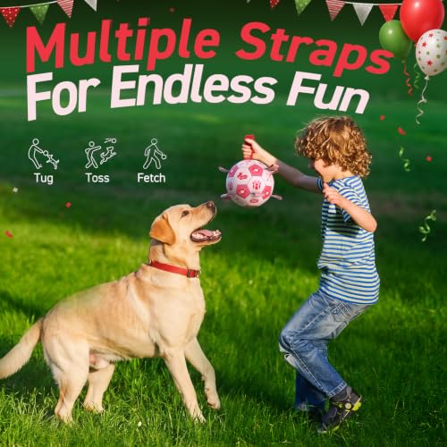 Dog Birthday Toys (Pink / 8 Inch)