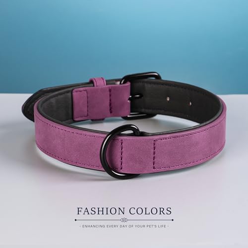 Soft PU Leather Dog Collar (M: Neck 11-15", Width ¾" / Purple)