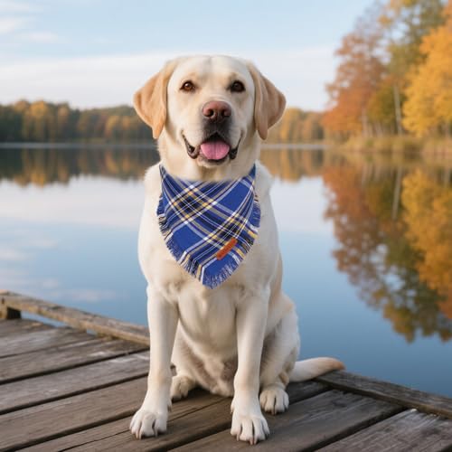 Dog Bandana Boy (Large / Blue)